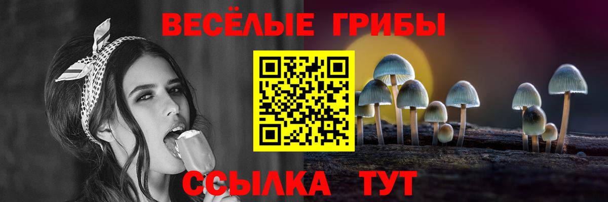 Псилоцибиновые грибы прущие грибы  Вход с VPN  Благодарный 